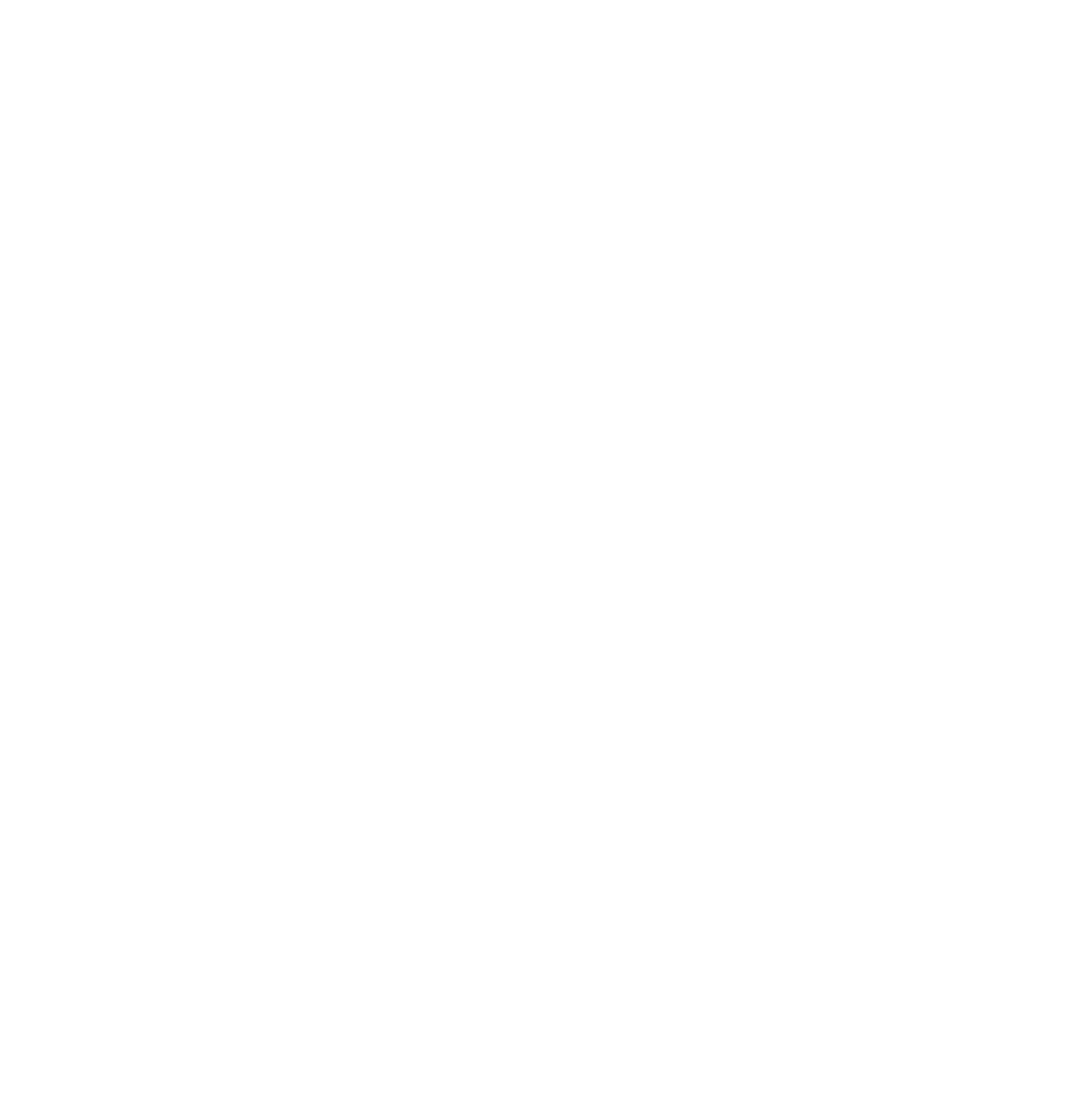 fitness icon 30